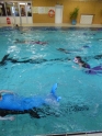Meerjungfrauenschwimmen-160.jpg